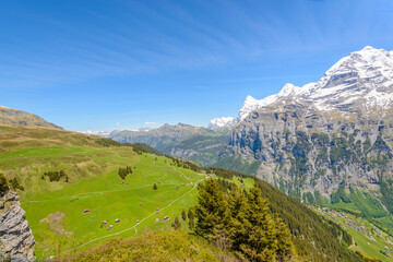 Naklejka premium View of beautiful landscape in the Alps with fresh green meadows and snow-capped mountain tops in the background on a sunny day with blue sky and clouds in springtime.