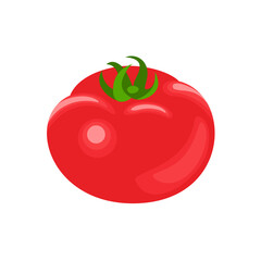 Tomato vector cartoon icon. Fresh vegetable illustration. Simple flat style.