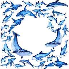 Round frame with sea creatures. Watercolor. Hand drawn whale, shark, dolphin, killer whale, fish, beluga