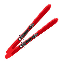 Illustration of ski. Adversting icon for sport industry and business.