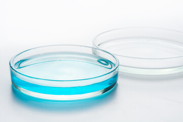 Laboratory chemical Petri dish with blue liquid on white background, for scientific experiments