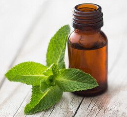 Mint leaves with essential oil