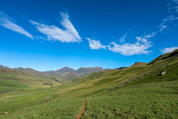 Foot path in green valley to the mountain