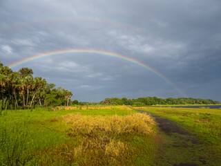 Naklejka premium Rainbow in a dark stormy sky over Myakka River State Park in Sarasota Florida USA