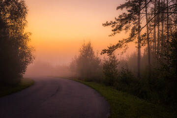 sunrise in the fog