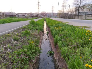 Fototapeta premium road, nature, landscape, field, path, grass, rural, sky, green, 