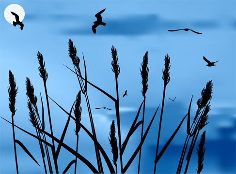 ild cereal black silhouettes and gulls