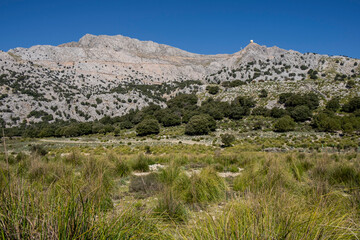 Fototapeta na wymiar long distance route GR 221, Escorca, Mallorca, Balearic Islands, Spain