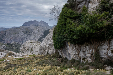 Fototapeta na wymiar Tramuntana mountain range, Mallorca, Balearic Islands, Spain