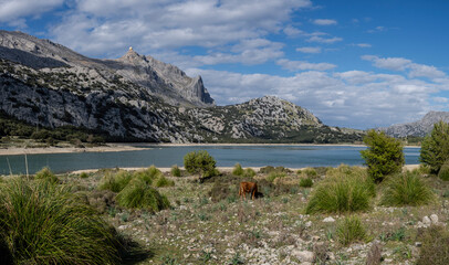 Cúber reservoir, long distance route GR 221, Escorca, Mallorca, Balearic Islands, Spain