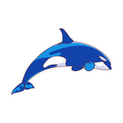 Orca (killer whale) whale jumping