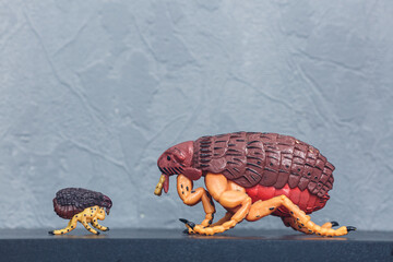 big and small toy plastic flea on the table. Flea model