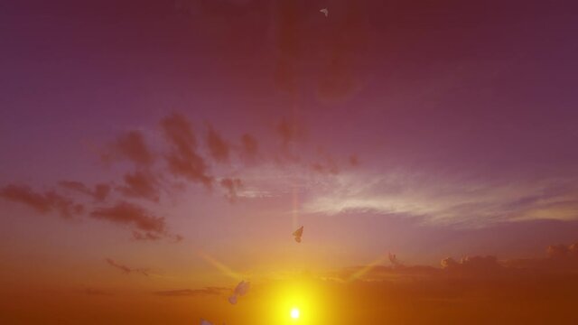Pigeons and white doves flying vertically against the sunset, Luma Matte attached, 4K