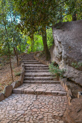 Fototapeta na wymiar Old stone steps in the green park.