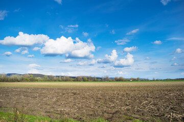 Agricultural land plowed. Blue sky with fluffy clouds.
