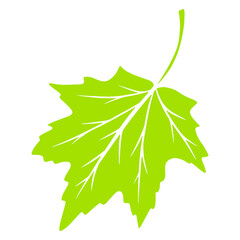 Fototapeta premium Leaflet. Carved leaf. Logo. Nature. Cartoon style. Illustration for design and decoration.
