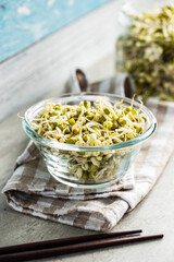 Sprouted green mung beans. Mung sprouts in bowl.
