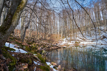 Obraz premium Mountain lake in early spring. Forest trees are reflected in melted blue water