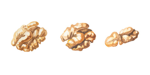 Healthy vegan breakfast walnuts ingredient watercolor illustration on white background