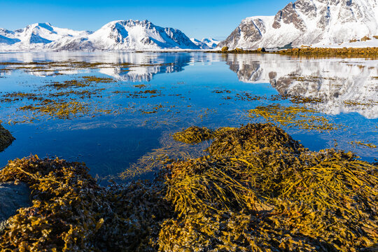 Winterlandschaft mit Eis und Schnee in Lofoten, Norwegen