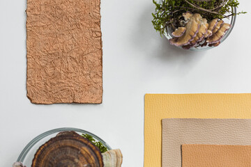 Vegan leather sample, leather from mushroom mycelium, eco friendly concept alternative bio leather top view