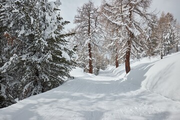 Winter Snowy Mountain Landscape
