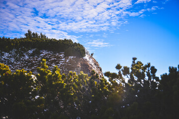 landscape with sky, mountain and Chamois