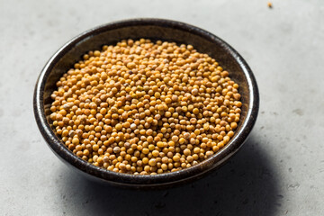 Raw Organic Yellow Mustard Seeds