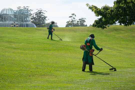 Dois operários cortando grama com roçadeira costal no Jardim Botânico de Curitiba, Paraná, Brasil