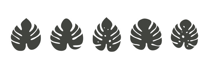 Monstera icon. Tropical leaves collection. Exotic jungle leaf. Monstera Deliciosa plants set. Vector illustration isolated on white.