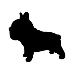 dog vector french bulldog icon puppy pet breed character cartoon paw symbol scarf doodle illustration silhouette doodle design