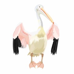 Pelican cartoon bird icon on white background illustration.
