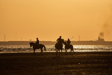 Polo players backlit playing on the beach.Polo is a team sport in which the four players per team riding on horses hit a ball into the opponent's goal with a long wooden mallet. Sunset. Silhouette.