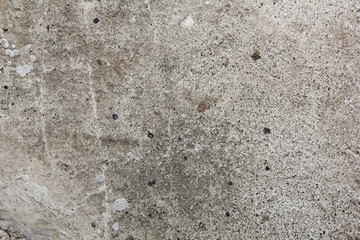 Shabby concrete background. Vintage ancient background. Gray tint textured old wall