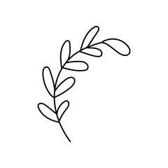 doodle with plants, foliage, grass, branch. Linear vector illustration. hand drawn style symbols and objects . simple, black drawing for sticker, decor, postcard, icon, coloring page, logo	