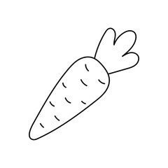 doodle with vegetables, carrots. Linear vector illustration of plants. hand-drawn symbols and style objects . simple, black drawing for sticker, decor, postcard, badge, coloring book, logo