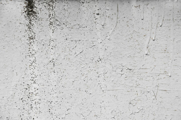 Shabby old paint background. Vintage ancient background. Gray tint of textured old wall. Cracked paint