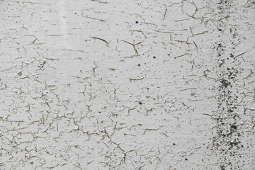 Shabby old paint background. Vintage ancient background. Gray tint of textured old wall. Cracked paint
