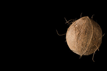 One whole ripe coconut, on black background, isolated