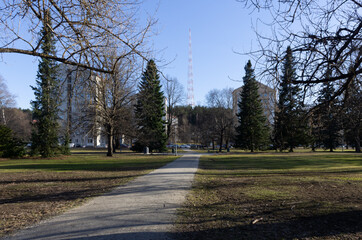 trees and path in the park