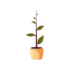 Room Plant Icon