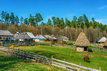 traditional Romanian village with old houses and animals