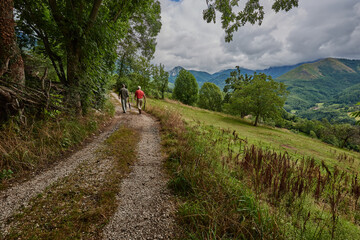 Fototapeta na wymiar I walk in the Asturian council of Teberga (Teverga), natural park of Las Ubiñas-La Mesa, with two men walking.