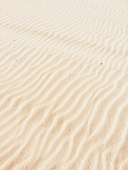 Fototapeta na wymiar sand ripples on the beach
