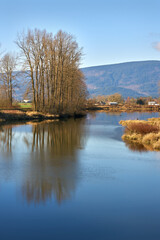 Alouette River Dyke Trail and Trees. A dyke path along the Alouette River in Pitt Meadows. 

