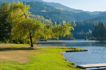 Fototapeta premium Green city park in Whistler, Vancouver, Canada.