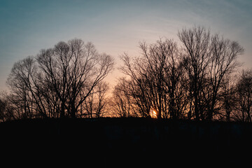 Dark time of the day and sunset with trees.