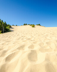 the background of sand desert