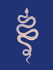 Coiled snake with ethnic ornament isolated illustration. Vector snake graphic element for logo, tattoo or sticker.