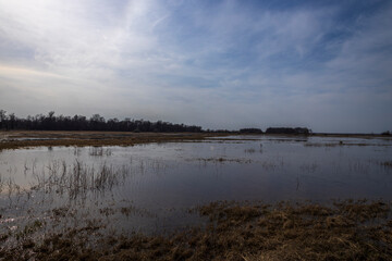 A flooded field on the outskirts of the village, the sky is reflected in the water. Trees and bushes on the horizon. Rural landscape in early spring. High water on the outskirts of the village